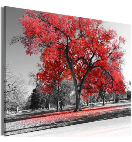 Schilderij - Autumn in the Park (1 Part) Wide Red