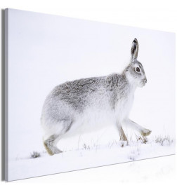 Schilderij - Hare (1 Part) Wide