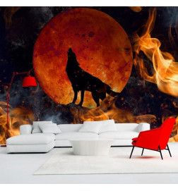 Fototapet - Wild nature - wolf on a background of a red moon in flames of fire