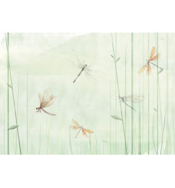Fototapet - Dragonflies in the Meadow