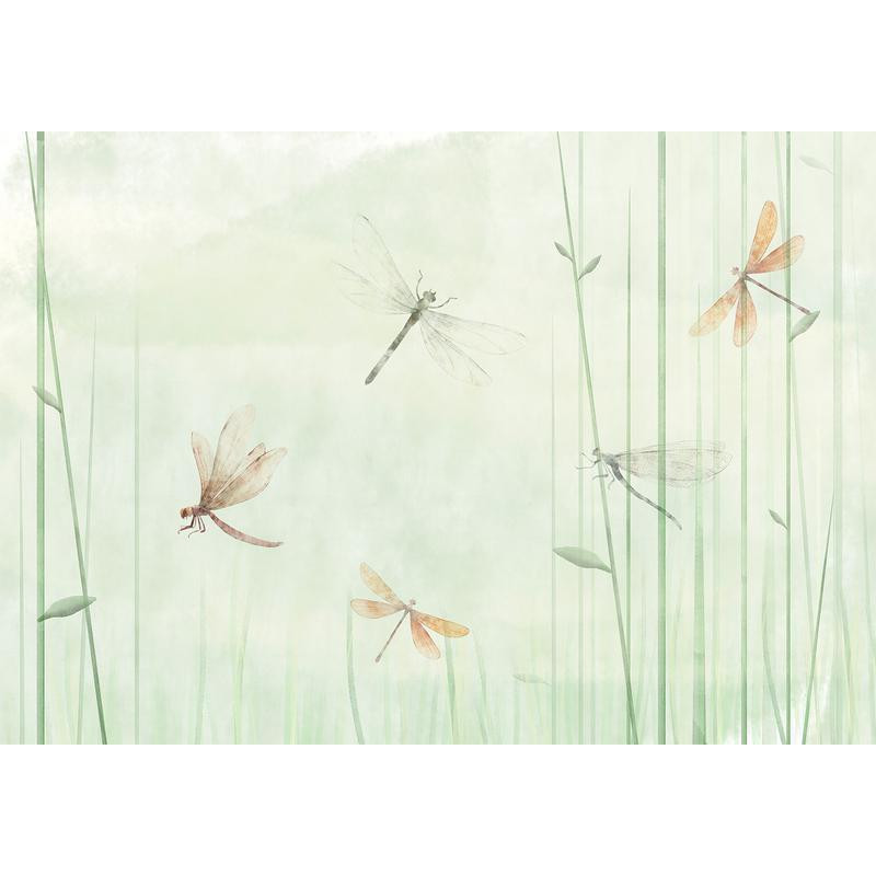 34,00 € Wall Mural - Dragonflies in the Meadow