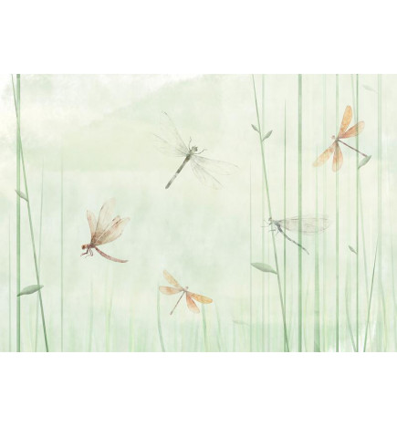 Fotobehang - Dragonflies in the Meadow