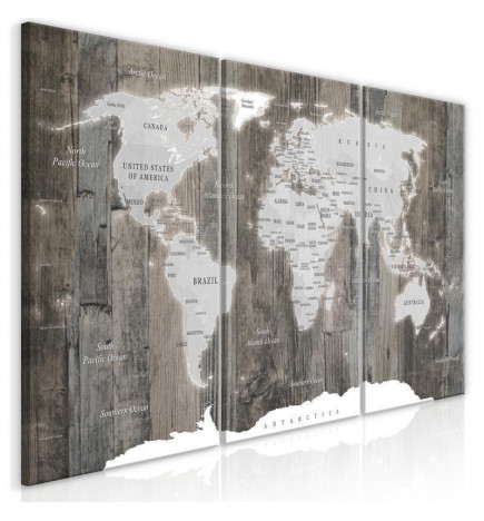 Canvas Print - World Map: Wooden World (3 Parts)