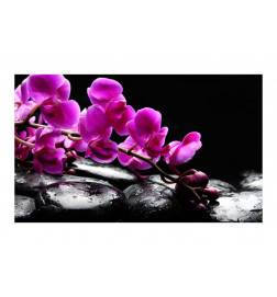 96,00 € www.arredalacasa.com Fotomurale con le pietre nere e le orchidee cm. 450x270