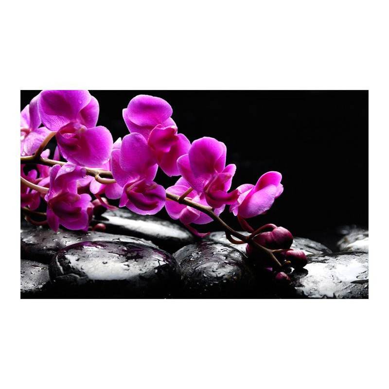 96,00 €Fotomurale con le pietre nere e le orchidee cm. 450x270