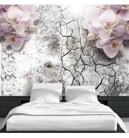 34,00 € Wallpaper - Bright red orchids