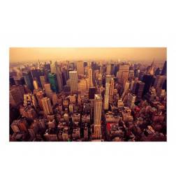 Fotomurale in volo sopra a New York di sera - cm. 450x270