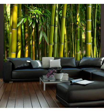 Fotomurale con il bambù - varie dimensioni - Arredalacasa