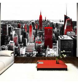 40,00 €Fotomurale adesivo con panoramica su new york Arredalacasa