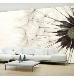 Wallpaper - White Dandelion