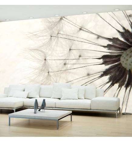 34,00 € Wallpaper - White Dandelion