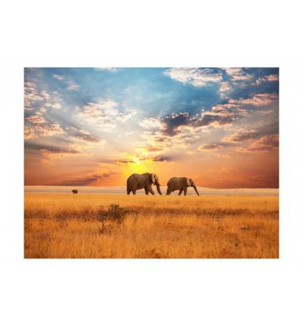 Papier peint - Éléphants de savane d'Afrique