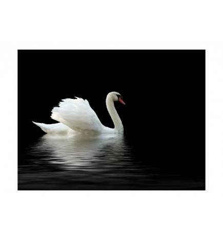Wallpaper - swan (black and white)