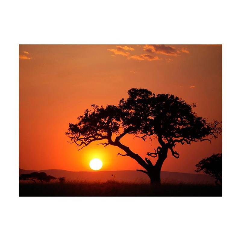 73,00 €Fotomurale con un albero al tramonto - arredalacasa