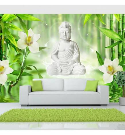 40,00 €Fotomurale adesivo con buddha bianco in giardino Arredalacasa