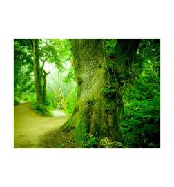 73,00 €Fotomurale con gli alberi della foresta verde - arredalacasa