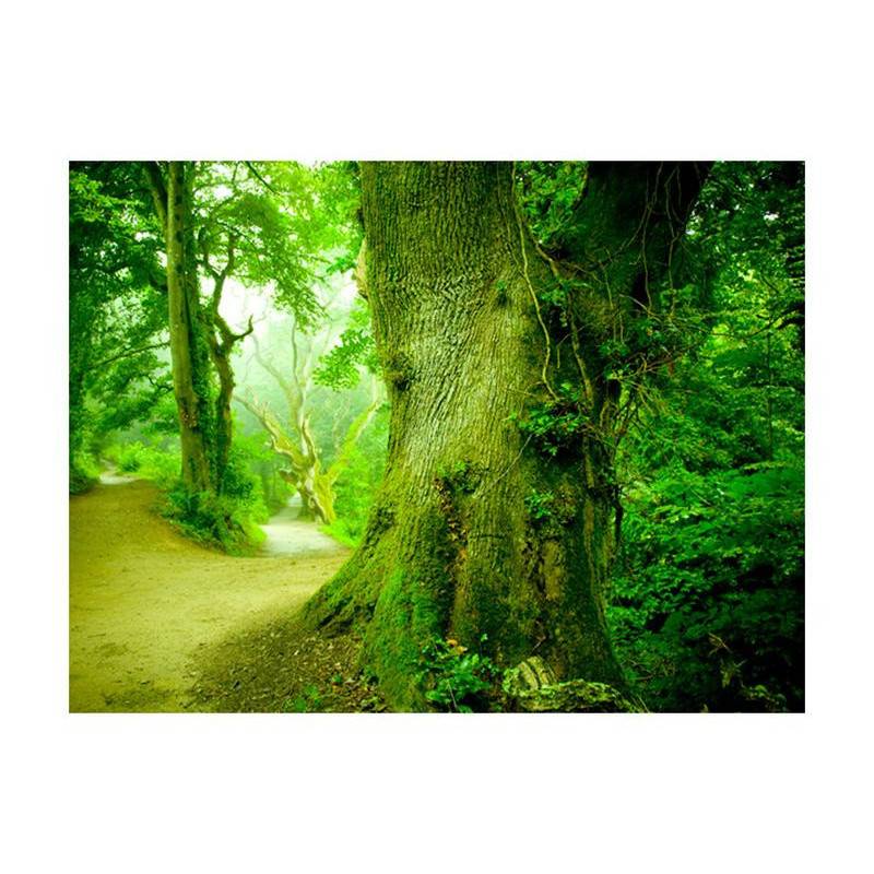 73,00 €Fotomurale con gli alberi della foresta verde - arredalacasa