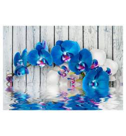 Wallpaper - Cobaltic orchid
