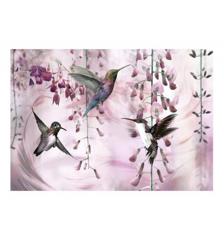 Fotomurale adesivo con 3 colibrì. Sfondo rosa Arredalacasa