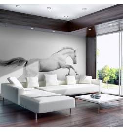 73,00 €Fotomurale con un cavallo in bianco e nero - Arredalacasa