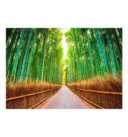 Self-adhesive Wallpaper - Bamboo Forest Size 98x70
