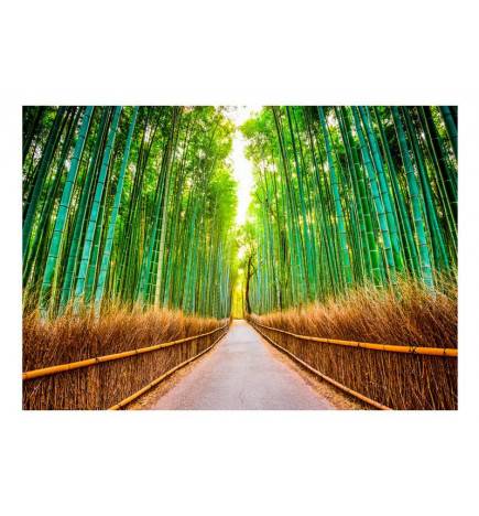 Self-adhesive Wallpaper - Bamboo Forest