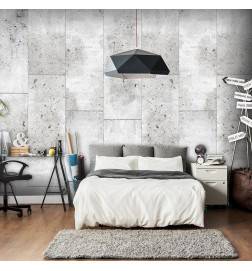 51,00 € Wallpaper - Concretum murum