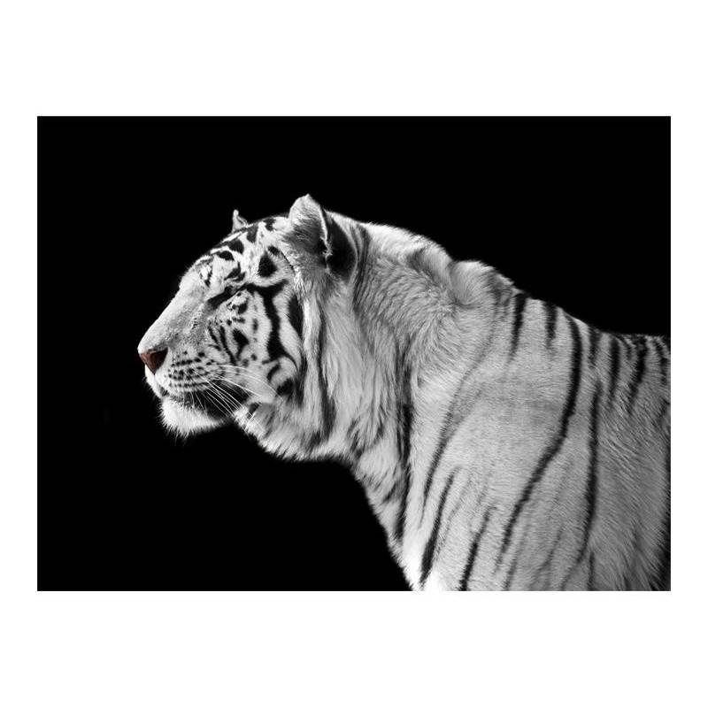 73,00 €Fotomurale con una tigre in bianco e nero - Arredalacasa