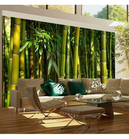Wallpaper - Asian bamboo forest