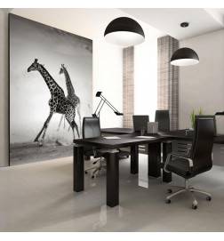 73,00 €Fotomurale con due giraffe in bianco e nero - Arredalacasa