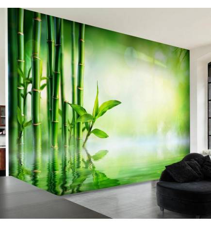 Self-adhesive Wallpaper - Bamboo Grove