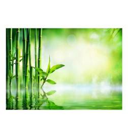 Fotomurale adesivo con le piante di bamboo Arredalacasa
