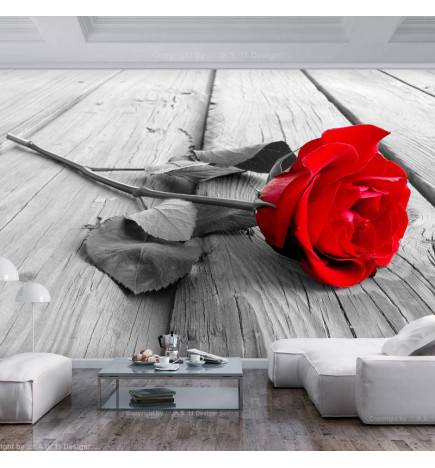 40,00 €Fotomurale adesivo con una rosa rossa sul legno ARREDALACASA