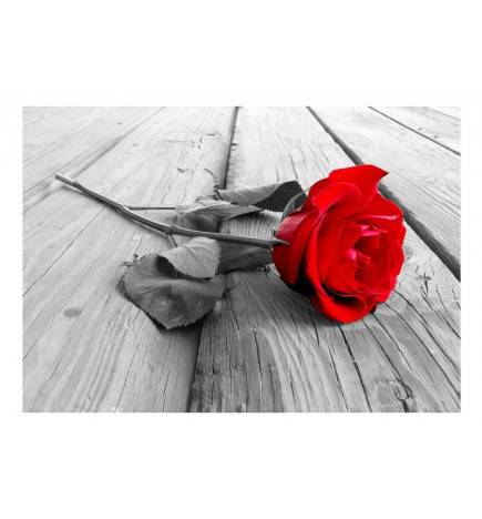 Fotomurale adesivo con una rosa rossa sul legno ARREDALACASA