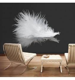 Wallpaper - White feather