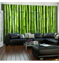 Wallpaper - Bamboo wall