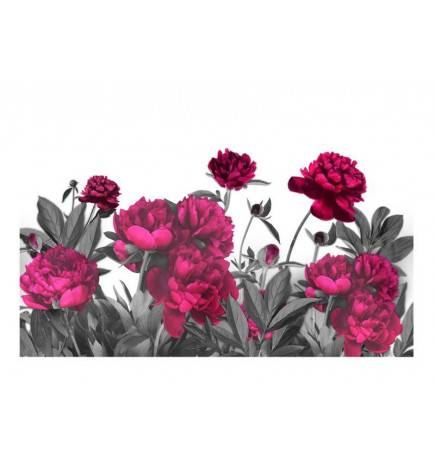 Fotomurale adesivo con le rose viola ARREDALACASA