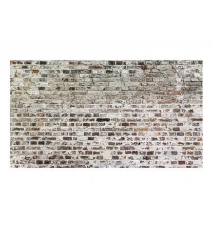 Fotomurale adesivo muro grigio cm. 490x280 ARREDALACASA