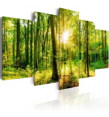 Canvas Print - Forest Tale