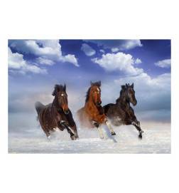 Fotomurale con tre cavalli al galoppo - Arredalacasa