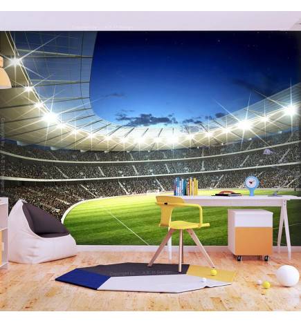73,00 € Wallpaper - National stadium