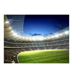 Wallpaper - National stadium