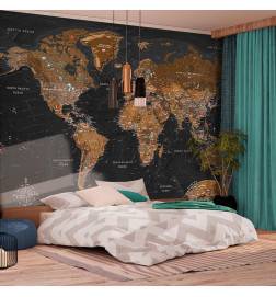 40,00 €Papier peint adhésif - Carte du monde stylisée en brun et noir