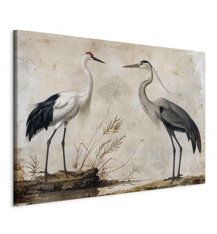 Tableau XXL - Birds from an old engraving - vintage-style illustration depicting a heron and a crane