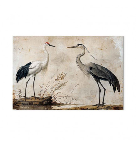 Wandbild XXL - Birds from an old engraving - vintage-style illustration depicting a heron and a crane
