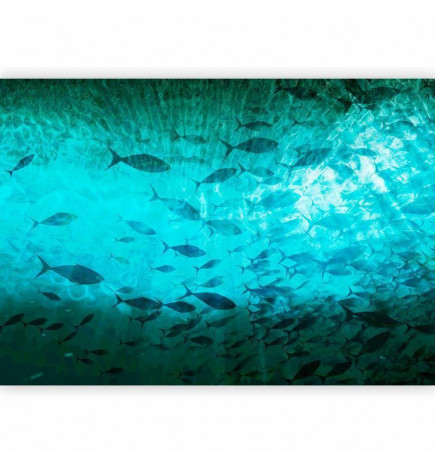 Fototapete - A shoal of dark fish