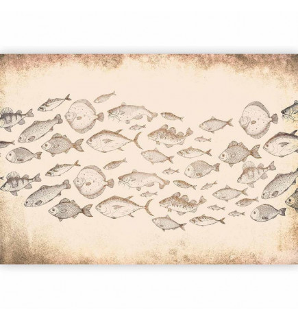 Fototapetti - Subtle fish