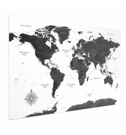 Plakatas - Monochromatic Map