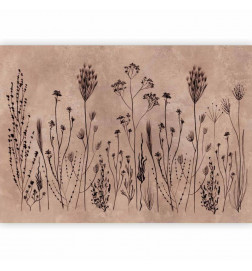 Fototapetas - Wildflowers – black plants on lime-wash background