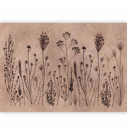 Mural de parede - Wildflowers – black plants on lime-wash background